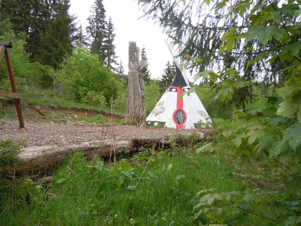 克洛斯特维何霍夫酒店 Dachsberg im Schwarzwald 外观 照片