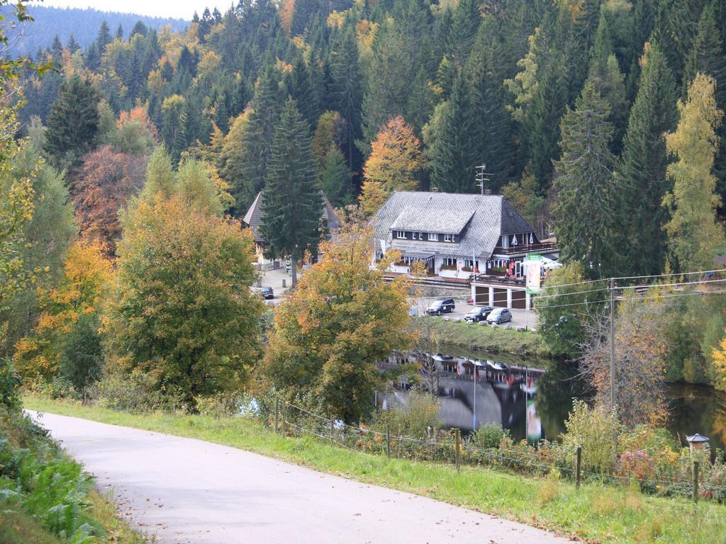 克洛斯特维何霍夫酒店 Dachsberg im Schwarzwald 外观 照片